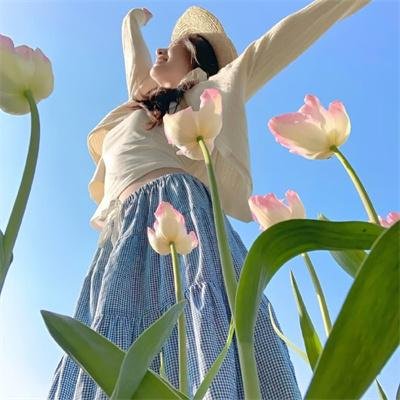 再见了木星